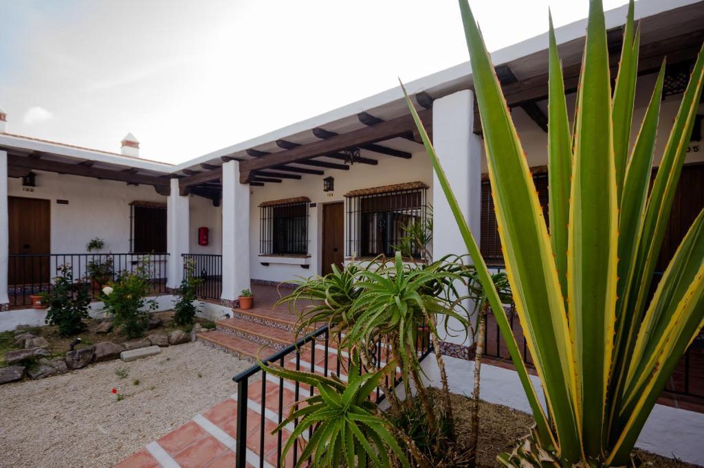Hacienda Puerto Conil Apartment Conil De La Frontera Ngoại thất bức ảnh